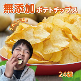 【無添加 揚げたて!】ランキング1位！24個 リピーター続出 ポテトチップス 化学調味料フリー うすしお 塩味 減塩 国産 こだわり クラフト 安心 シンプル 包装レス 送料無料