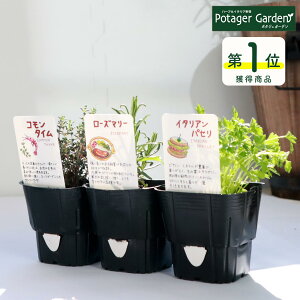 ガーデニング用品 ブロック 花壇 苗の人気商品 通販 価格比較 価格 Com