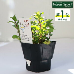 y{P2{z yTVЉzn[u c XyA~gin[ueB nbJ  O[ A ͔|@ ĕ g Iѕ  ԕc  ȒP v^[ Zbg ͔|Lbg ~