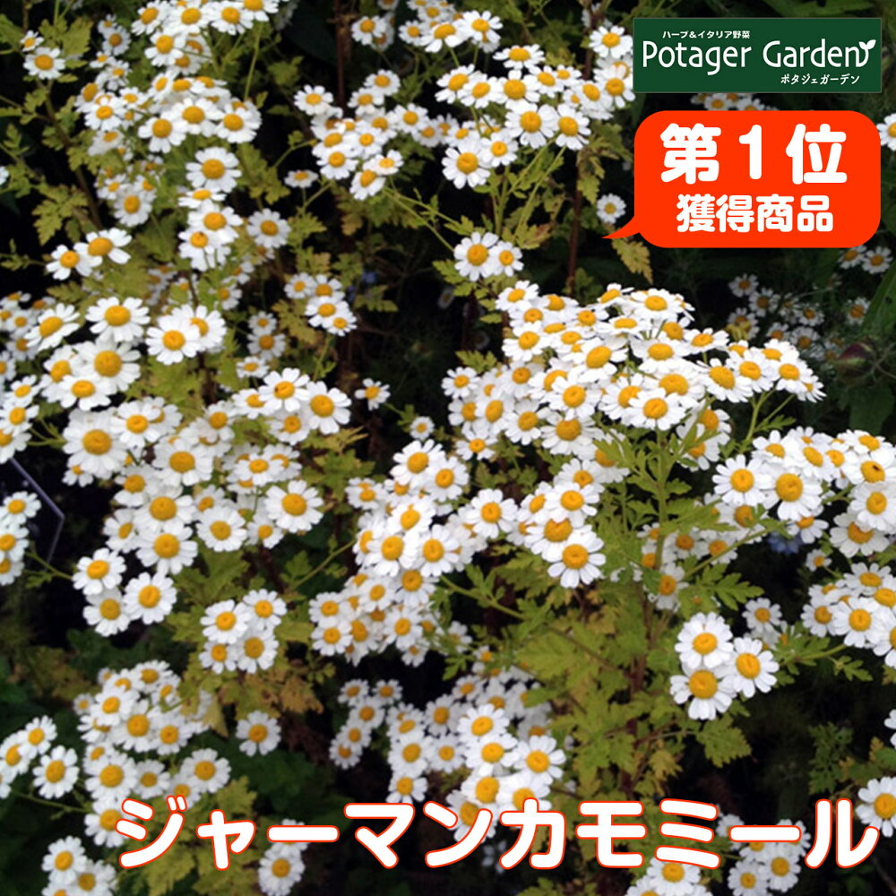 レビューを書いたら必ずもらえるクーポン
