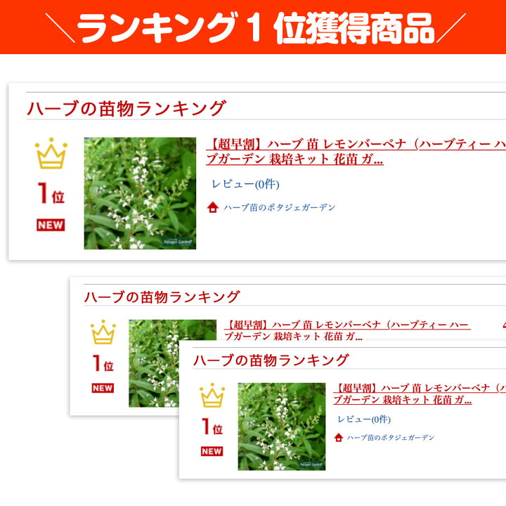 楽天市場 ハーブ 苗 レモンバーベナ ハーブティー ハーブガーデン 栽培キット 花苗 ガーデニング ドライハーブ セット 室内 プランター 寄せ植え ティーバッグ ハーブウォーター 乾燥 料理 プランター 家庭菜園 キット ハーブ苗のポタジェガーデン