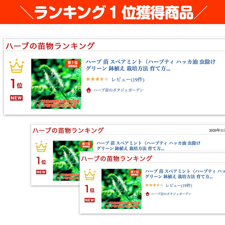 楽天市場 Tv紹介 ハーブ 苗 スペアミント ハーブティ ハッカ油 虫除け グリーン 鉢植え 栽培方法 育て方 使い方 選び方 種類 花苗 送料無料 簡単 プランター セット 栽培キット ミントグリーン ラベンダー バジル ローズマリー 寄せ植え 野菜 種 春 夏 秋 冬