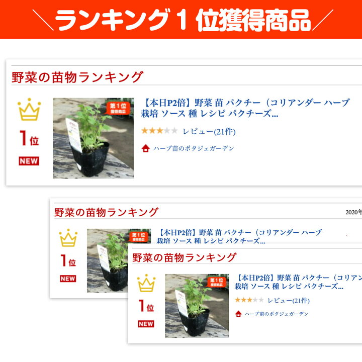 楽天市場 Tv紹介 秋 野菜苗 パクチー コリアンダー ハーブ 苗 栽培 ソース 種 レシピ パクチーズ パクチー醤油 パクチーソース パクチードレッシング パクチーラーメン パクチースープ パクチーサラダ 栄養 保存 パクチー鍋 パウダー シード スパイス カレー