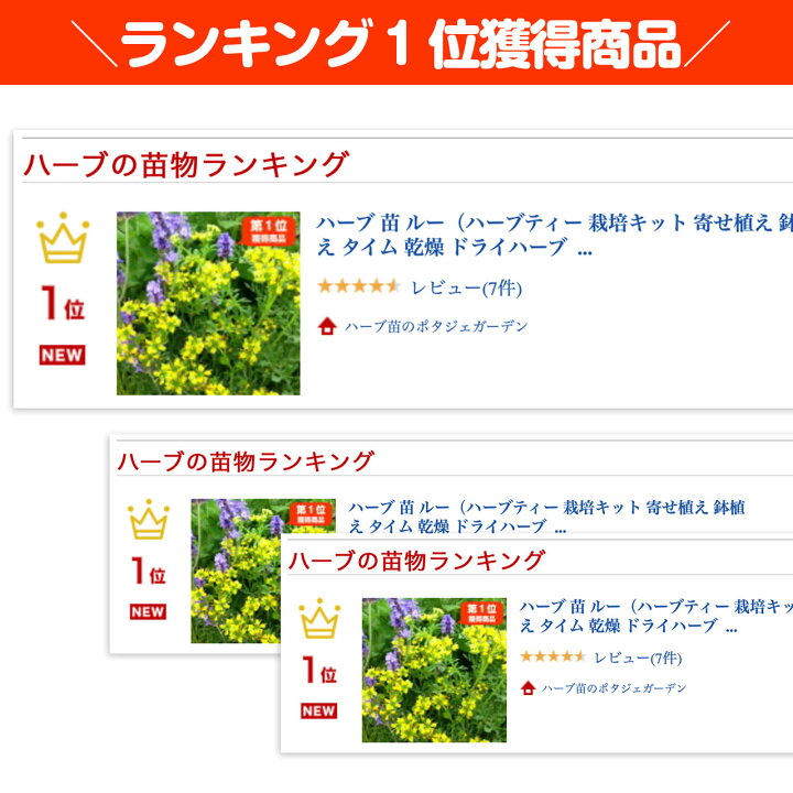 楽天市場 本日p2倍 ハーブ 苗 ルー ハーブティー 栽培キット 寄せ植え 鉢植え タイム 乾燥 ドライハーブ セット 室内 プランター 種 ラベンダー 苗木 花苗 観葉植物 ハーブガーデン ハーブミックス ハーブの土 かわいい ハーブ苗のポタジェガーデン
