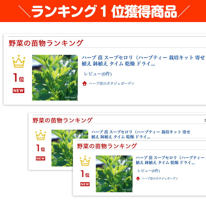 楽天市場 ハーブ 苗 スープセロリ ハーブティー 栽培キット 寄せ植え 鉢植え タイム 乾燥 ドライハーブ セット 室内 プランター 種 ラベンダー 苗木 花苗 観葉植物 ハーブガーデン ハーブミックス ハーブの土 かわいい ハーブ苗のポタジェガーデン 楽天市場 ハーブ 苗 スープセロリ ハーブティー 栽培キット 寄せ植え 鉢植え タイム 乾燥 ドライハーブ セット 室内 プランター 種 ラベンダー 苗木 花苗 観葉植物 ハーブガーデン ハーブミックス ハーブの土 かわいい ハーブ苗のポタジェガーデン