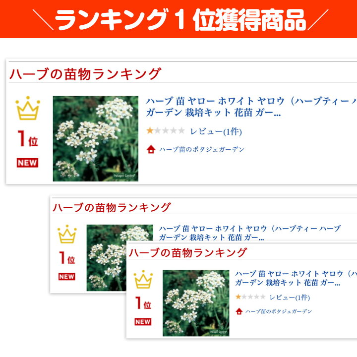 楽天市場 本日p2倍 ハーブ 苗 ヤロー ホワイト ヤロウ ハーブティー ハーブガーデン 栽培キット 花苗 ガーデニング ドライハーブ セット 室内 プランター 寄せ植え ティーバッグ ハーブウォーター 乾燥 料理 プランター 家庭菜園 キット ハーブ苗のポタジェガーデン