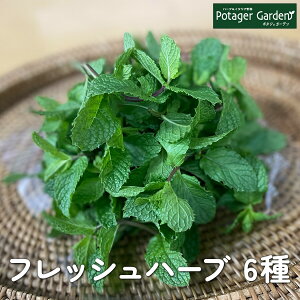 n[u Hp tbV 50giBBQ HރZbg IKm q[g ~g ^C fB C^ApZ [Y}[ n[ueB[ ~bNX  T_  Ɩp g Mtg XpCX H