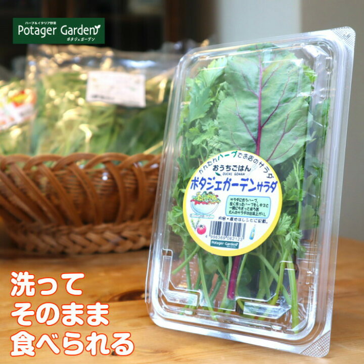 限定特価 ハーブ 食用 フレッシュ 1パック BBQ 食材セット レシピ付 フレッシュハーブ ハーブティー ミックス 野菜 サラダ 生 業務用 使い方 ギフト スパイス Herb Tea ハーブ 食用 スペアミント1パック(レシピ付 フレッシュハーブ ハーブティー ミックス 野菜 サラダ 生 業務用 使い方 ギフト スパイス)