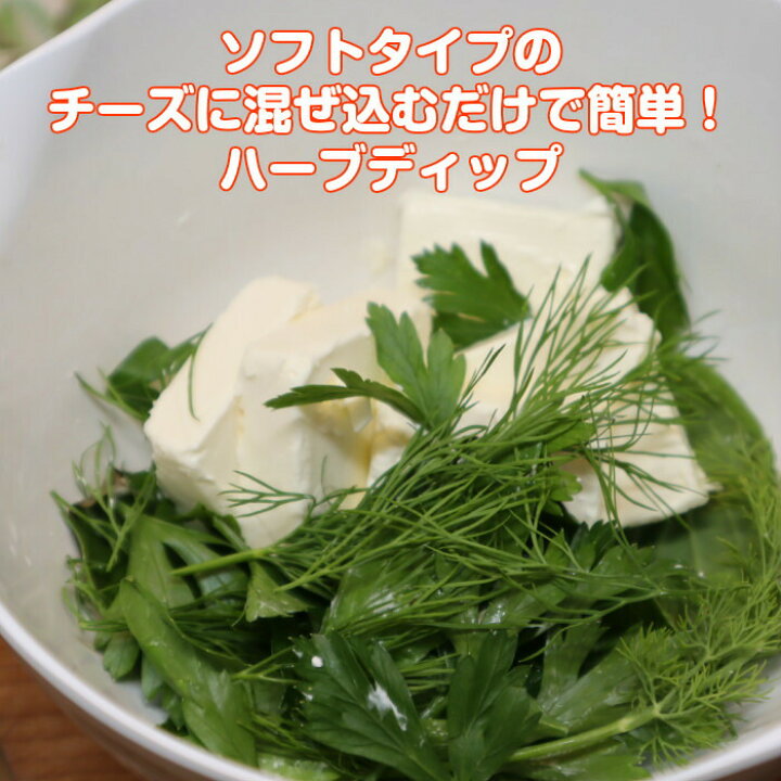 ハーブ 食用 イタリアンパセリ1パック レシピ付 フレッシュハーブ ハーブティー ミックス 野菜 サラダ 生 業務用 使い方 ギフト スパイス ビッグ割引