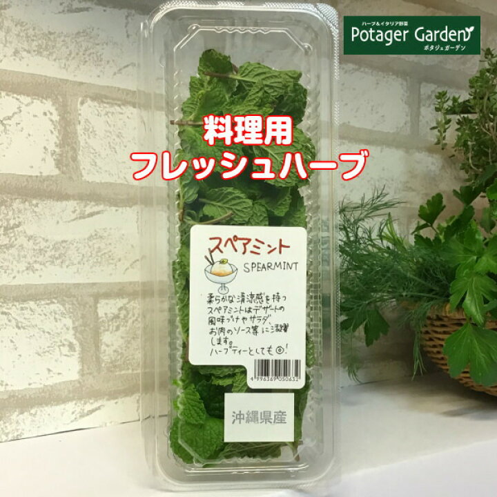 楽天市場 本日p2倍 ハーブ 食用 スペアミント 1パック q 食材セットレシピ付 フレッシュハーブ ハーブティー ミックス 野菜 サラダ 生 業務用 使い方 ギフト スパイス Herb Tea ハーブ苗のポタジェガーデン