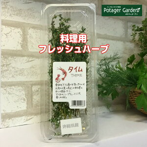 フレッシュ ハーブティー 食品の人気商品 通販 価格比較 価格 Com