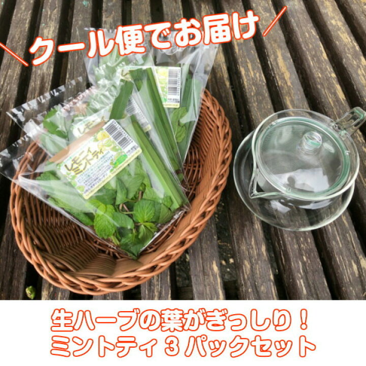 Seal限定商品 ハーブ 食用 スペアミント1パック レシピ付 フレッシュハーブ ハーブティー ミックス 野菜 サラダ 生 業務用 使い方 ギフト スパイス Supplystudies Com
