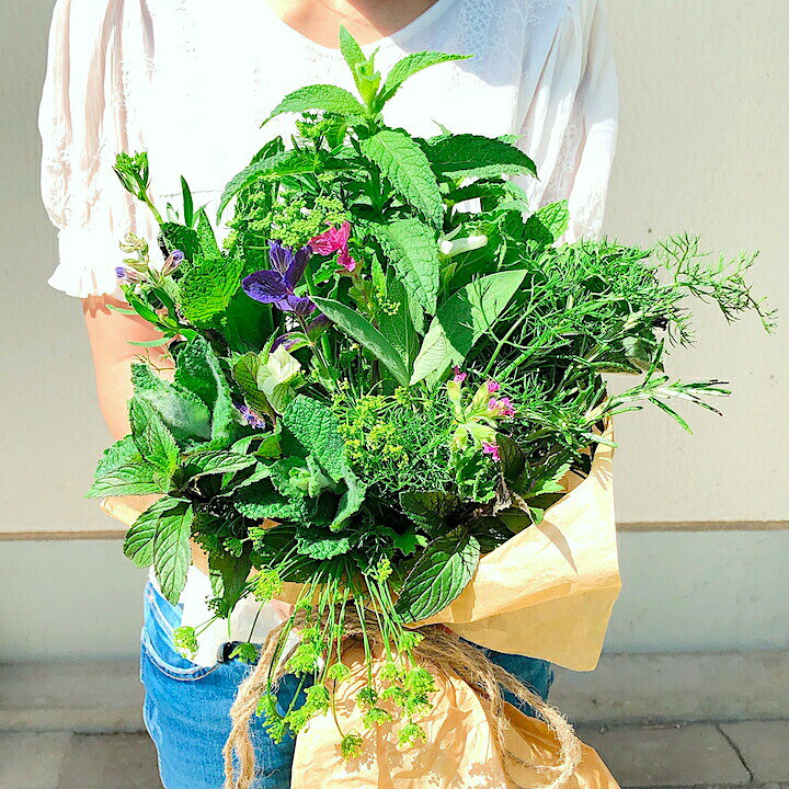 楽天市場 ハーブ ブーケ ギフト 母の日 花束 誕生日 オシャレ カーネーション ボリューム フラワーアレンジメント バラ 花 ギフト プリザーブドフラワー 生花 ドライフラワー プレゼント 鉢植え アレンジメント ドライ フラワー インテリア ハーブ苗のポタジェガーデン