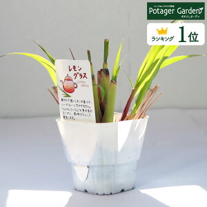 y{P2{z n[u c OXiVs Vsm[g Vs{ ^C H M j[  H gN ^C{  {fB[\[v n[ueB[ A}IC 