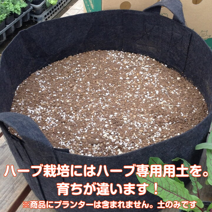 楽天市場 ハーブ 専用 培養土 16l 16リットル 土壌改良 腐葉土 ガーデニング 園芸 園芸用品 土 野菜 苗 花苗 砂 おしゃれ 大型 多肉植物 砂利 花壇 赤玉土 オリジナル 鉢底石 観葉植物 有機 成分 種類 ハーブ苗のポタジェガーデン