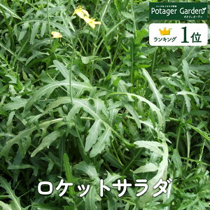 y{P2{z n[u c bRin[ueB[ n[uK[f ͔|Lbg ԕc K[fjO hCn[u Zbg  v^[ 񂹐A eB[obO n[uEH[^[   v