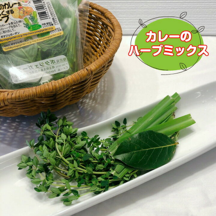 Seal限定商品 ハーブ 食用 スペアミント1パック レシピ付 フレッシュハーブ ハーブティー ミックス 野菜 サラダ 生 業務用 使い方 ギフト スパイス Supplystudies Com