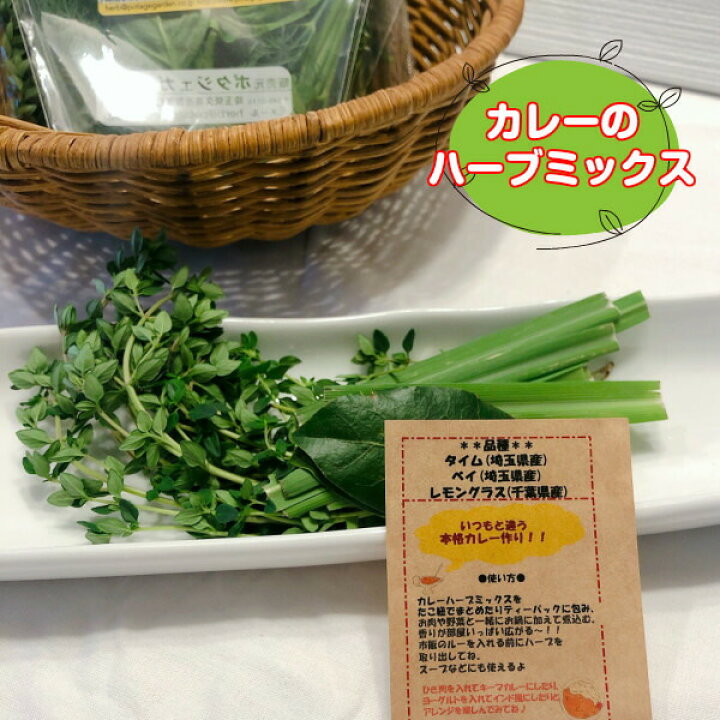 ハーブ 食用 レシピ付 3パックセット レモンティー 生 ハーブティー フレッシュハーブ