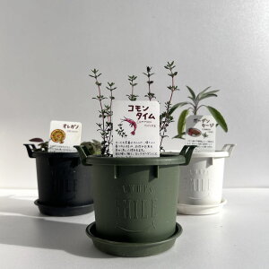 y{P2{z n[u Lb`  c 3Zbgic Zbg vv^[ 킢 񂹐A n[ueB[ n[uK[f ϗtA  oW [Y}[ ~g ԕc 