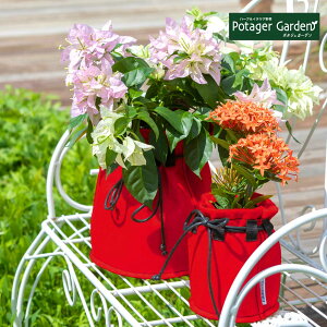 y{P2{z v^[ 킢 tF|bg SicȂ ^JV[ Aؔ   ƒ؉ ^ X^h   bN IV Jo[ ty G O oXPbg u 