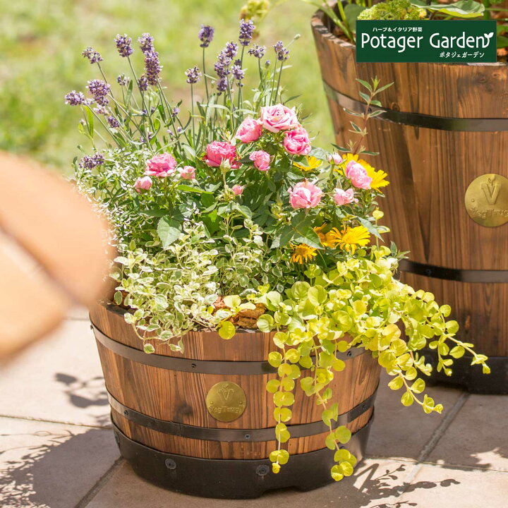 楽天市場 Ss対象商品 ウッドバレル プランター 浅型 M 円形 タカショー 植木鉢 鉢 おしゃれ 家庭菜園 大型 スタンド 野菜 丸 ラック オシャレ カバー 腐葉土 雑草 屋外 バスケット 置くだけ 室内 プランター菜園 花 英語 長方形 土 サイズ 木製 ハーブ苗の 楽天市場 Ss対象商品 ウッドバレル プランター 浅型 M 円形 タカショー 植木鉢 鉢 おしゃれ 家庭菜園 大型 スタンド 野菜 丸 ラック オシャレ カバー 腐葉土 雑草 屋外 バスケット 置くだけ 室内 プランター菜園 花 英語 長方形 土 サイズ 木製 ハーブ苗の