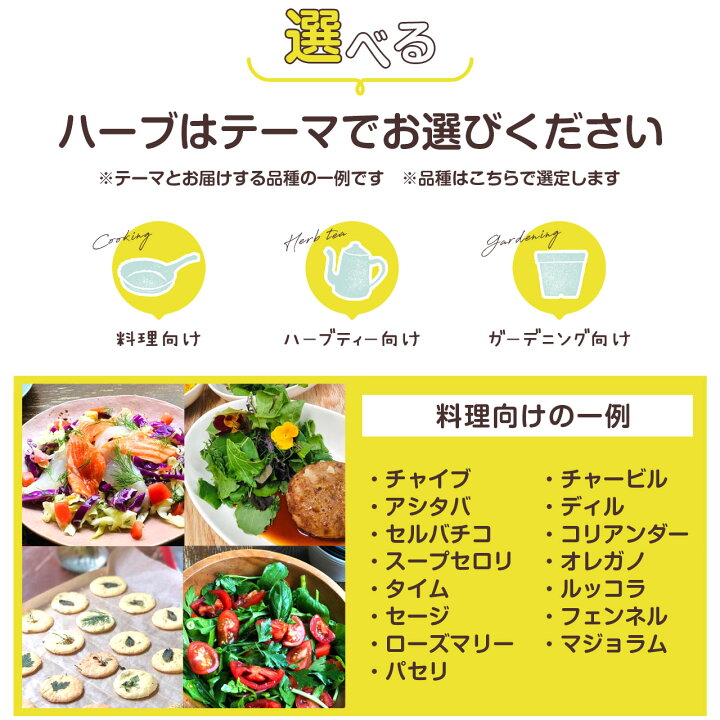 楽天市場 選べる 家庭菜園 苗 セット ハーブ苗 3個 お試し 花苗 季節の苗 苗木 苗物 セット かわいいラベル付 店舗花壇 柵 ブロック 常緑 低木 薔薇 花 鉢 プランター スタンド 買い回り 買いまわり ポイント消化 送料無料 ガーデニング ハーブ苗のポタジェガーデン
