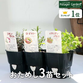 選べる 家庭菜園 苗 セット ハーブ苗 3個 お試し（花苗 季節の苗 苗木 苗物 セット かわいいラベル付 店舗花壇 柵 ブロック 常緑 低木 薔薇 花 鉢 プランター スタンド 買い回り 買いまわり ポイント消化 送料無料 ガーデニング）