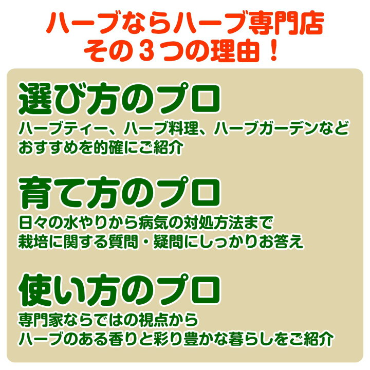 楽天市場 初回限定1 000円off ガーデニング ハーブ 苗 セット 栽培キット 苗6個 黒のフェルトプランター 直径40cm かわいい 花苗 苗木 家庭菜園 初心者 寄せ植え キット ハーブティー 観葉植物 送料無料 バジル ローズマリー ミント 鉢植え 土 Herb ベランダ