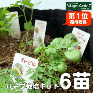 【本日P2倍】 苗 ハーブ 栽培キット 苗6個 L(花苗 苗木 ガーデニング ハーブティー ハーブ料理 虫除け 夏休み 自由研究 キット 女の子 子供 かわいい 家庭菜園 初心者 寄せ植え 観葉植物 送料