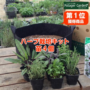 秋 プランター 花 苗の人気商品 通販 価格比較 価格 Com