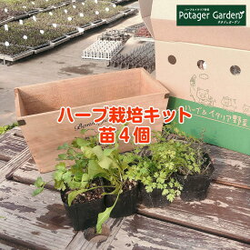 楽天市場 ローズマリー 栽培キットの通販
