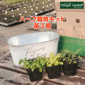 楽天市場 栽培キット バジルの通販