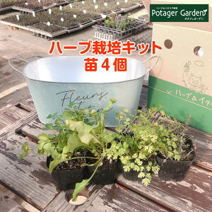 ハーブ 家庭菜園 プランター 苗の人気商品 通販 価格比較 価格 Com