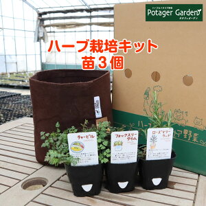 苗 バジルの人気商品 通販 価格比較 価格 Com