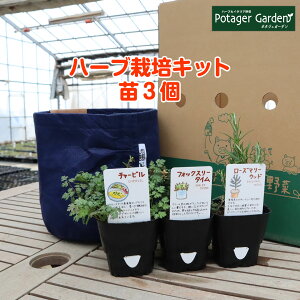 バジル プランターの人気商品 通販 価格比較 価格 Com