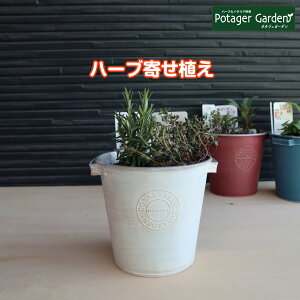 y{P2{z n[u 񂹐A DONNA S  c2iĂ g e[} őI n[ů񂹐A c Zbg uLv^[ 킢 񂹐A n[ueB[ n[uK[f ϗtA 