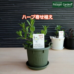 バジル プランターの人気商品 通販 価格比較 価格 Com