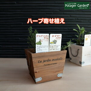 ハーブ プランター 寄せ植え 苗の人気商品 通販 価格比較 価格 Com