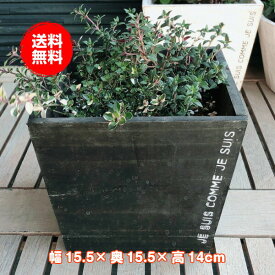 楽天市場 植木鉢 おしゃれ 大型 室内 プランター 植木鉢 プランター ガーデニング 農業 花 ガーデン Diyの通販