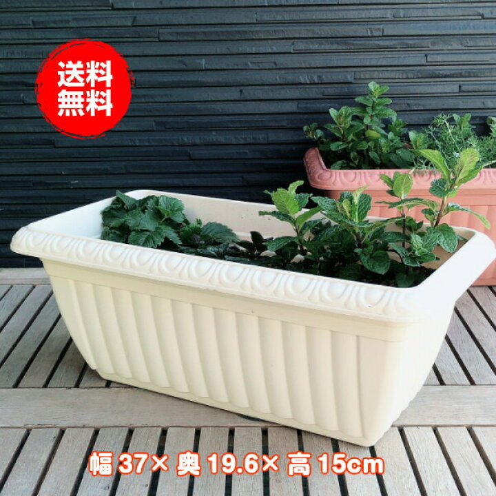楽天市場 本日p2倍 プランター 植木鉢 鉢 おしゃれ プラスチック 長方形 大型 スタンド 野菜 ラック オシャレ カバー 腐葉土 雑草 屋外 バスケット 置くだけ 室内 プランター菜園 花 英語 土 サイズ レリーフプランター 白 受皿付 ハーブ苗のポタジェガーデン