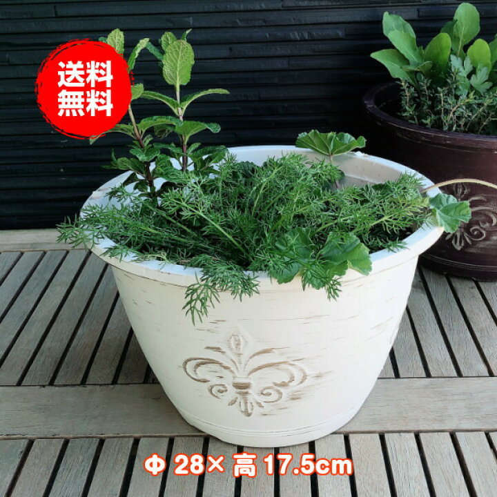 楽天市場 本日p2倍 プランター 植木鉢 鉢 おしゃれ プラスチック 丸 大型 スタンド 野菜 ラック オシャレ カバー 腐葉土 雑草 屋外 バスケット 置くだけ 室内 プランター菜園 花 英語 長方形 土 サイズ アンティークライトプラワンポイント 白 ハーブ苗のポタジェ