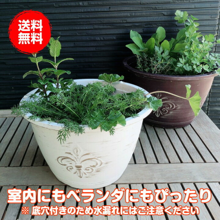 楽天市場 プランター 植木鉢 鉢 おしゃれ プラスチック 丸 大型 スタンド 野菜 ラック オシャレ カバー 腐葉土 雑草 屋外 バスケット 置くだけ 室内 プランター菜園 花 英語 長方形 土 サイズ アンティークライトプラワンポイント 白 ハーブ苗のポタジェガーデン
