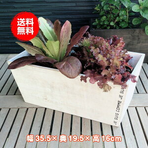 植木鉢 大型 室内の人気商品 通販 価格比較 価格 Com