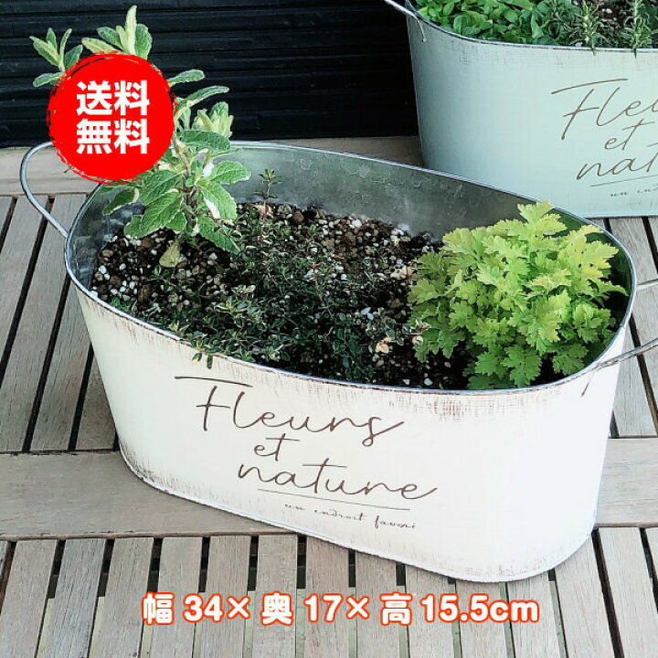 楽天市場 本日p2倍 プランター 植木鉢 鉢 おしゃれ 家庭菜園 オーバル 大型 スタンド 野菜 丸 ラック オシャレ カバー 腐葉土 雑草 屋外 バスケット 置くだけ 室内 プランター菜園 花 英語 長方形 土 サイズ 木製 楕円形 モダンラスティブリキ オーバルl 白