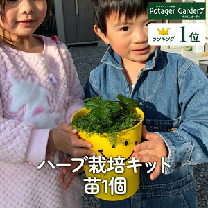 y{P2{z n[u ͔|Lbg X}C c1ic Zbg bZ[WuL v^[ 킢 񂹐A n[ueB[ n[uK[f ϗtA  oW [Y}[ ~g 