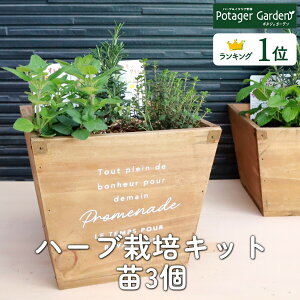 y{P2{z n[u ͔|Lbg i`Ebh lp c3ic Zbg ؐv^[ 킢 񂹐A n[ueB[ n[uK[f ϗtA  oW [Y}[ ~g 