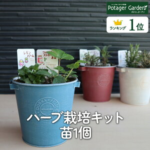 y{P2{z n[u ͔|Lbg DONNA S c1ic Zbg uLv^[ 킢 񂹐A n[ueB[ n[uK[f ϗtA  oW [Y}[ ~g ԕc c ƒ