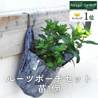 【本日P2倍】 ハーブ 栽培キット ルーツポーチ S 苗1個（苗 セット フェルトプランター かわいい 寄せ植…