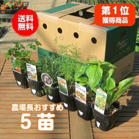 楽天市場 栽培セット 植物の種類ハーブ ガーデニング 農業 花 ガーデン Diy の通販