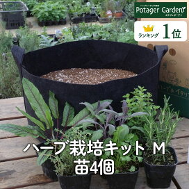 楽天市場】 すべてそろった栽培キット > フェルトプランターの栽培 